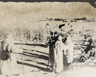 на главную страницу